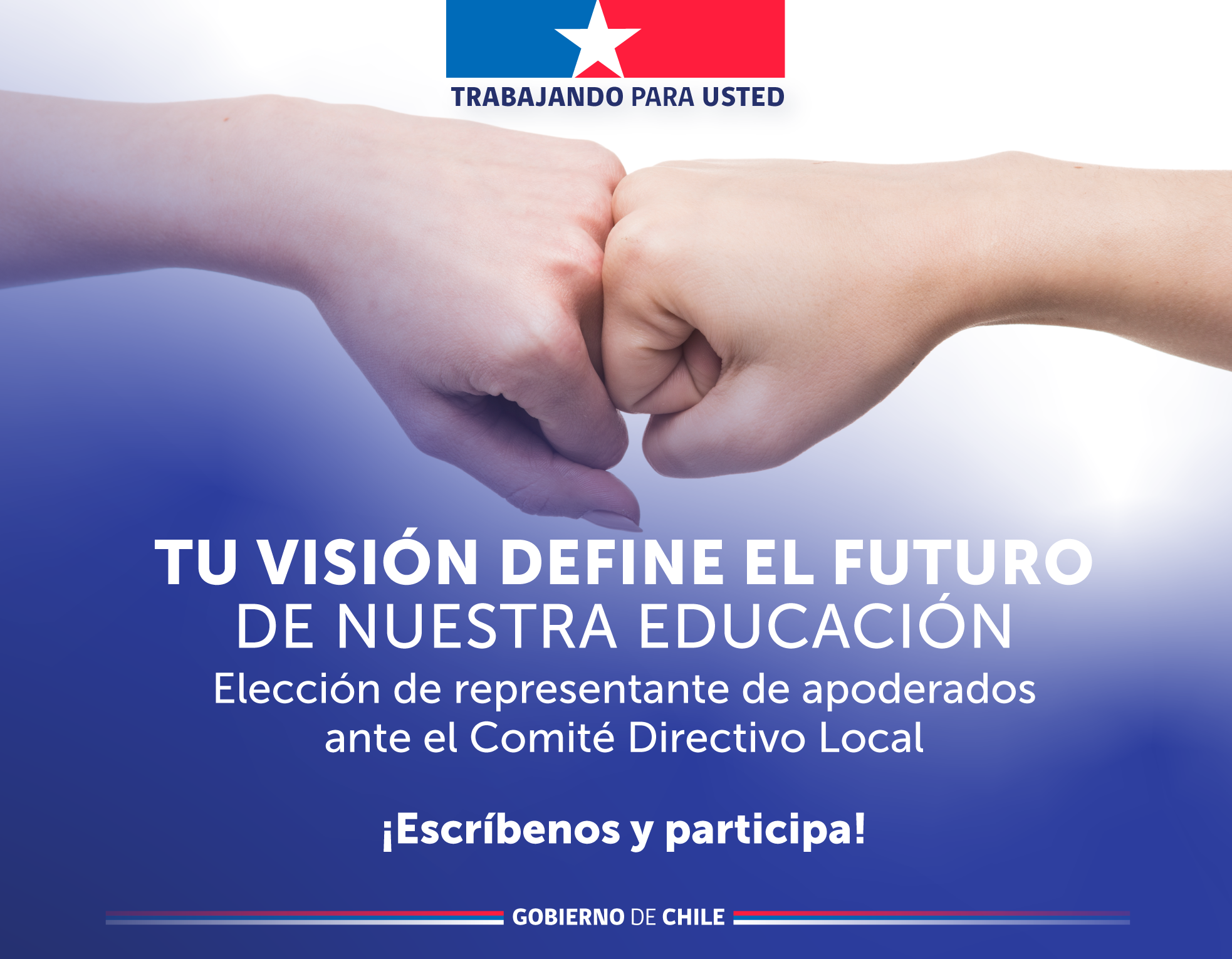 Postula al Comité Directivo Local del SLEP Los Parques